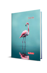 Agendă A5, Datată 2026, Motiv Flamingo, Herlitz